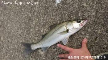 �����Х�