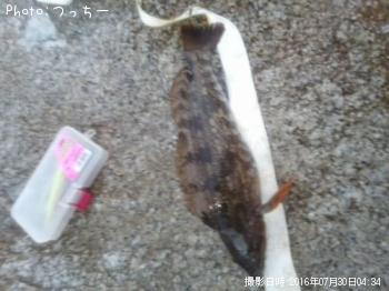 �����ʥ�