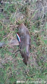 �����Υ���