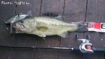 ¥Ö¥é¥Ã¥¯¥Ð¥¹