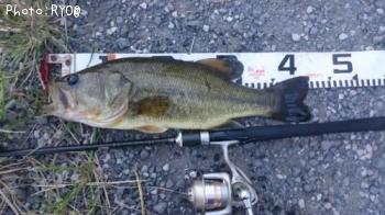 �֥�å��Х�