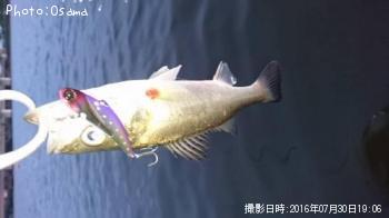 �����Х�