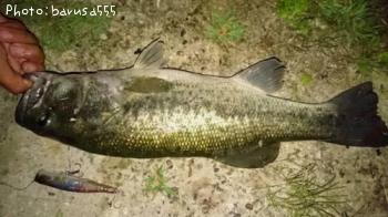 �֥�å��Х�