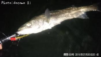 �����Х�