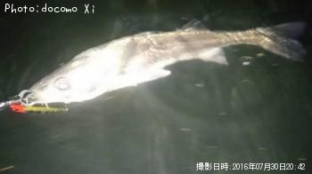 �����Х�