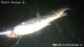 �����Х�