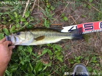 ¥Ö¥é¥Ã¥¯¥Ð¥¹