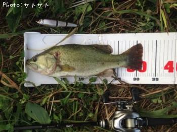 �֥�å��Х�