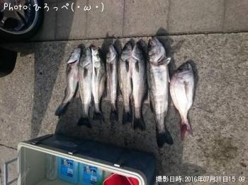 �����Х�