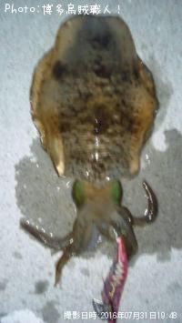 ¥¢¥ª¥ê¥¤¥«