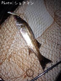 �����Х�