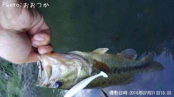 ¥Ö¥é¥Ã¥¯¥Ð¥¹