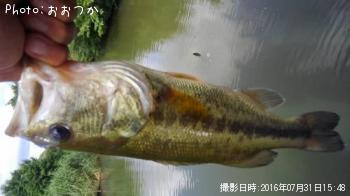 �֥�å��Х�