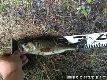 �֥�å��Х�