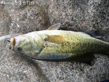 �֥�å��Х�