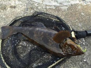 �����ʥ�