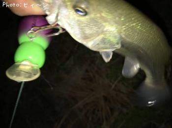 �֥�å��Х�