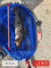 �����ʥ�