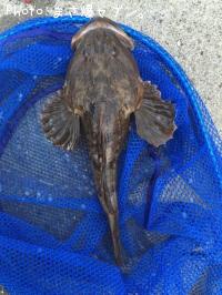 �ޥ�����