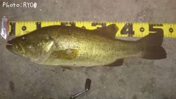 �֥�å��Х�