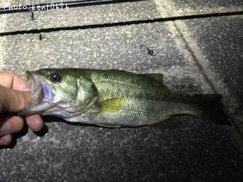 �֥�å��Х�