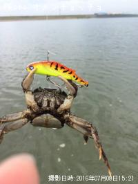 ���̥û�