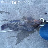 �����ʥ�