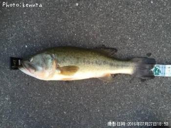 �֥�å��Х�