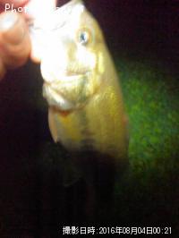 ¥Ö¥é¥Ã¥¯¥Ð¥¹