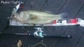 �֥�å��Х�