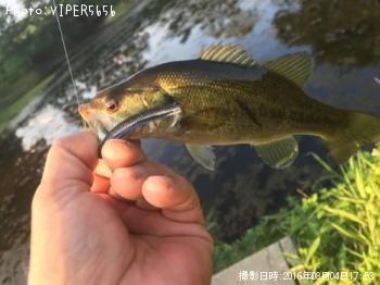 �֥�å��Х�