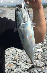 ���������ĥ�