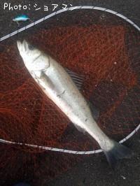 �����Х�