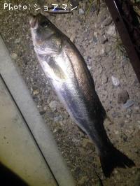 �����Х�