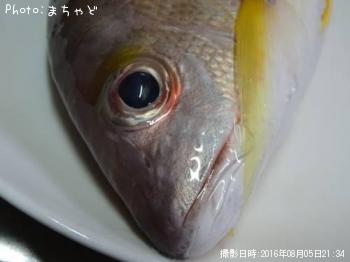 ���ӥ��ʥ����ڥ����ե�������