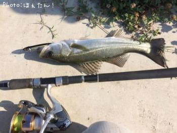 �����Х�