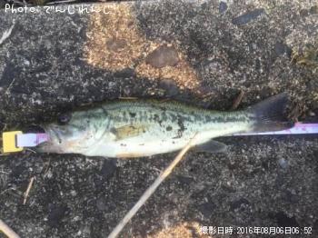 �֥�å��Х�