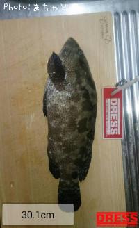 ¥¢¡¼¥é¡¼¥ß¡¼¥Ð¥¤¡Ú¥Þ¥À¥é¥Ï¥¿¡Û