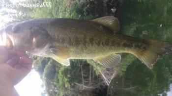 �֥�å��Х�