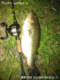 ¥Ö¥é¥Ã¥¯¥Ð¥¹