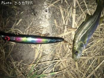 �����Х�