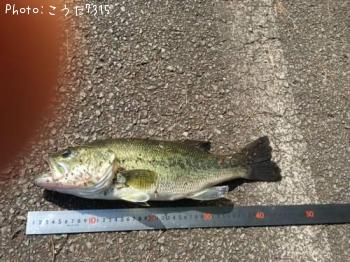 �֥�å��Х�