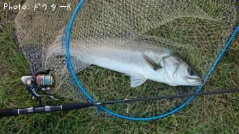 �����Х�