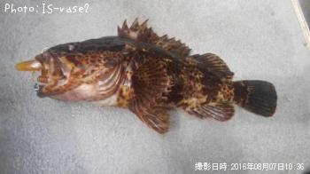 �����Υ���Х�