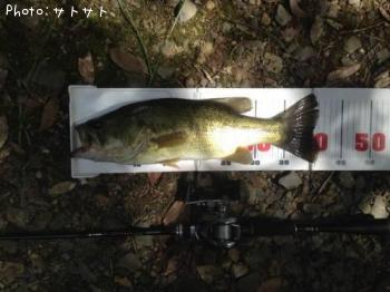 ¥Ö¥é¥Ã¥¯¥Ð¥¹