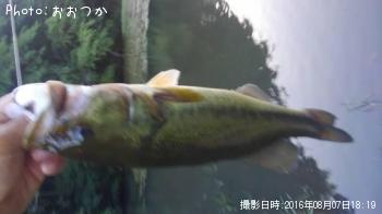 �֥�å��Х�