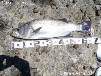 �ҥ饹����