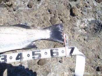 �ҥ饹����