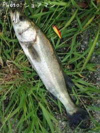 �����Х�