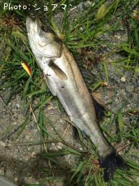 �����Х�